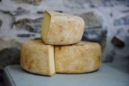 formacion-queso-canasa-distribucion-hosteleria-navarra